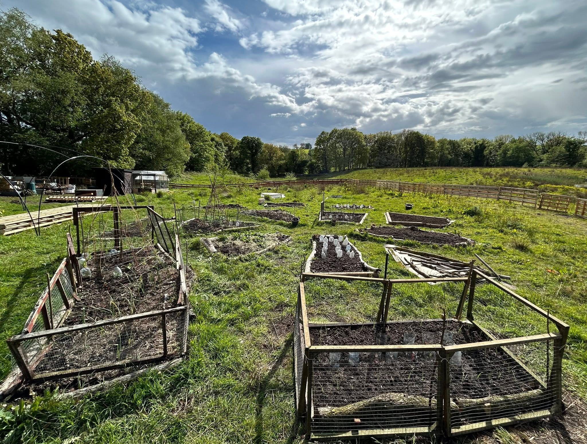 veg beds in spring